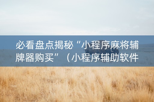 必看盘点揭秘“小程序麻将辅牌器购买”（小程序辅助软件)