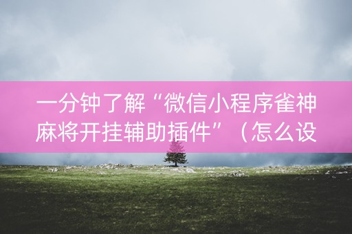 一分钟了解“微信小程序雀神麻将开挂辅助插件”（怎么设置能有好牌)