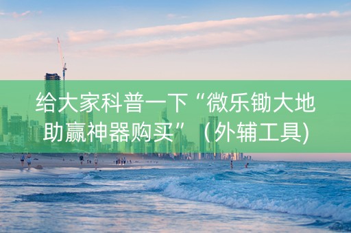 给大家科普一下“微乐锄大地助赢神器购买”（外辅工具)