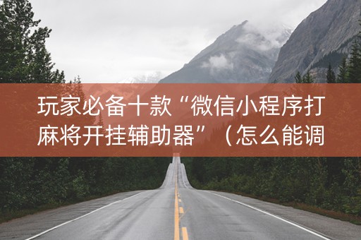 玩家必备十款“微信小程序打麻将开挂辅助器”（怎么能调好牌)