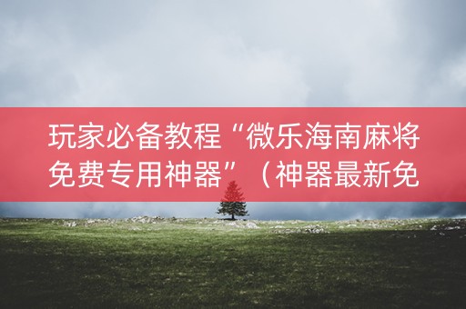 玩家必备教程“微乐海南麻将免费专用神器”（神器最新免费)