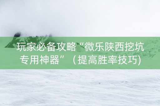 玩家必备攻略“微乐陕西挖坑专用神器”（提高胜率技巧)