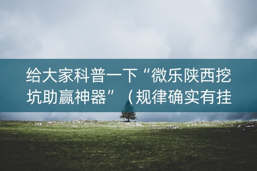 给大家科普一下“微乐陕西挖坑助赢神器”（规律确实有挂)