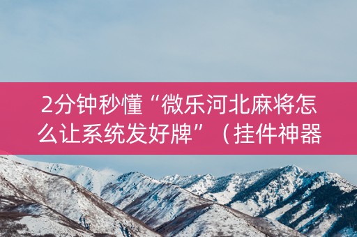 2分钟秒懂“微乐河北麻将怎么让系统发好牌”（挂件神器)