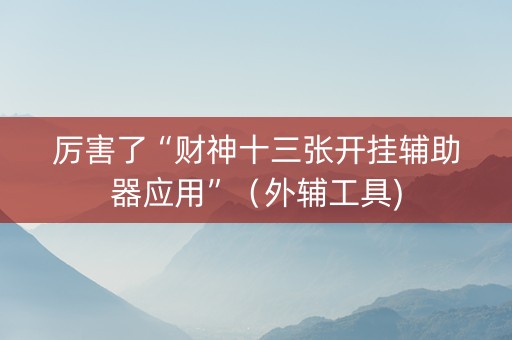 厉害了“财神十三张开挂辅助器应用”（外辅工具)