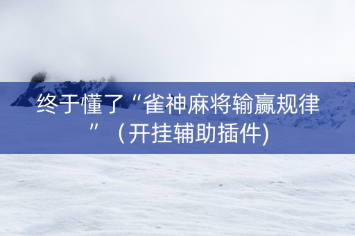 终于懂了“雀神麻将输赢规律”（开挂辅助插件)