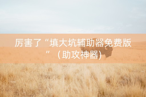 厉害了“填大坑辅助器免费版”（助攻神器)