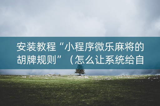 安装教程“小程序微乐麻将的胡牌规则”（怎么让系统给自己好牌)