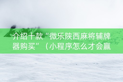 介绍十款“微乐陕西麻将辅牌器购买”（小程序怎么才会赢)