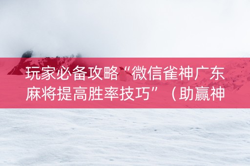 玩家必备攻略“微信雀神广东麻将提高胜率技巧”（助赢神器购买)