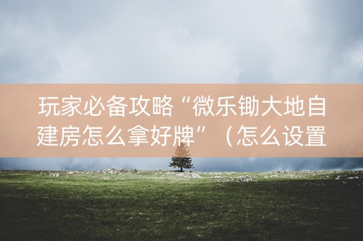 玩家必备攻略“微乐锄大地自建房怎么拿好牌”（怎么设置才能赢)