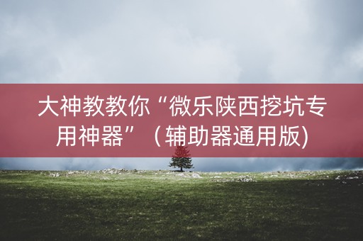 大神教教你“微乐陕西挖坑专用神器”（辅助器通用版)