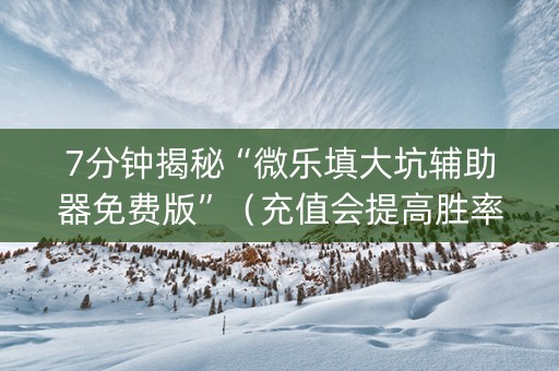 7分钟揭秘“微乐填大坑辅助器免费版”（充值会提高胜率么)