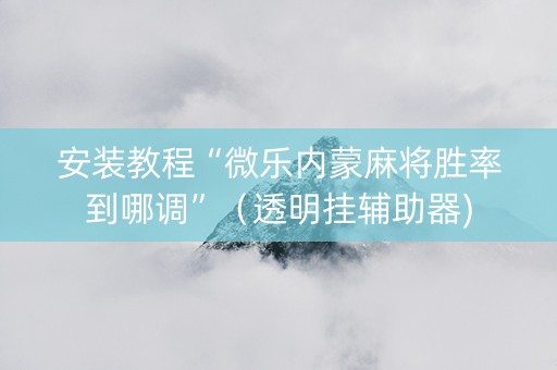 安装教程“微乐内蒙麻将胜率到哪调”（透明挂辅助器)
