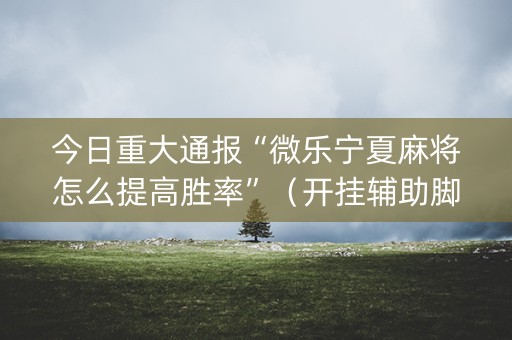 今日重大通报“微乐宁夏麻将怎么提高胜率”（开挂辅助脚本)