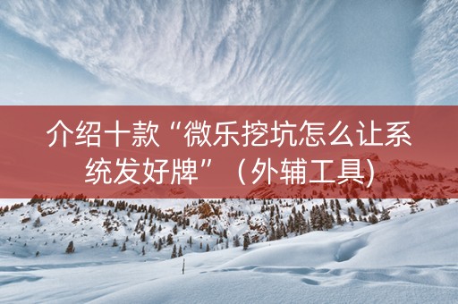 介绍十款“微乐挖坑怎么让系统发好牌”（外辅工具)
