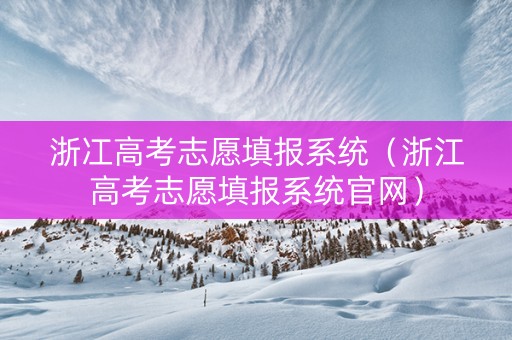 浙冮高考志愿填报系统（浙江高考志愿填报系统官网）