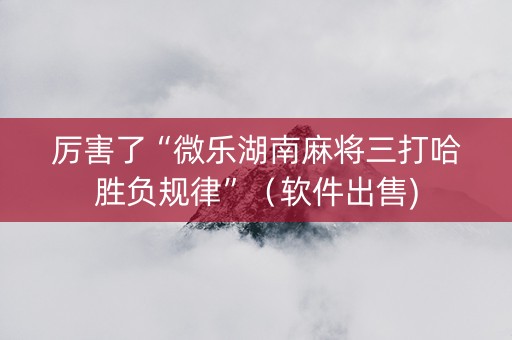 厉害了“微乐湖南麻将三打哈胜负规律”（软件出售)