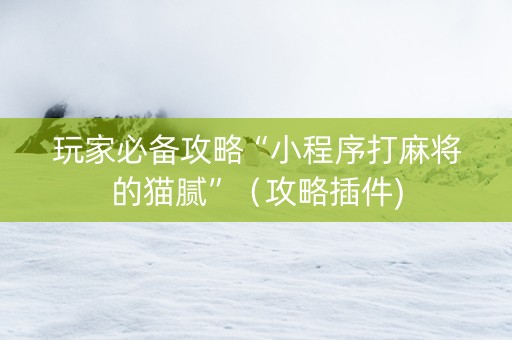 玩家必备攻略“小程序打麻将的猫腻”（攻略插件)