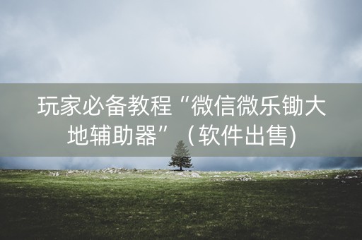 玩家必备教程“微信微乐锄大地辅助器”（软件出售)