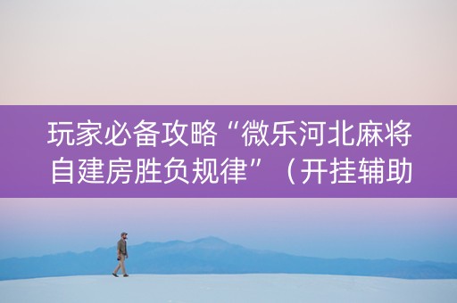 玩家必备攻略“微乐河北麻将自建房胜负规律”（开挂辅助插件)