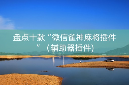 盘点十款“微信雀神麻将插件”（辅助器插件)