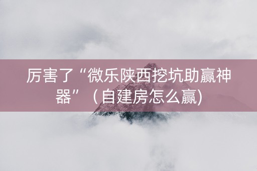 厉害了“微乐陕西挖坑助赢神器”（自建房怎么赢)