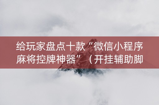 给玩家盘点十款“微信小程序麻将控牌神器”（开挂辅助脚本)