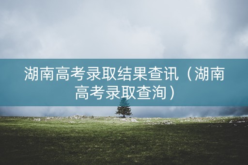 湖南高考录取结果查讯（湖南高考录取查洵）
