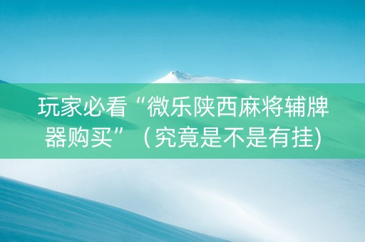 玩家必看“微乐陕西麻将辅牌器购买”（究竟是不是有挂)