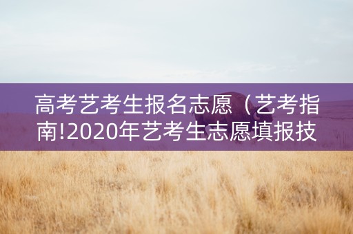 高考艺考生报名志愿（艺考指南!2020年艺考生志愿填报技巧大汇总）