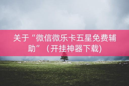 关于“微信微乐卡五星免费辅助”（开挂神器下载)