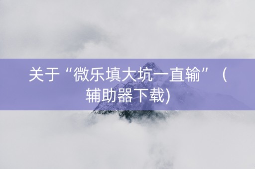 关于“微乐填大坑一直输”（辅助器下载)