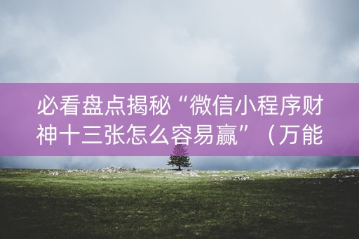 必看盘点揭秘“微信小程序财神十三张怎么容易赢”（万能开挂器)