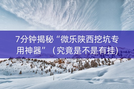 7分钟揭秘“微乐陕西挖坑专用神器”（究竟是不是有挂)
