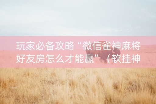 玩家必备攻略“微信雀神麻将好友房怎么才能赢”（软挂神器)