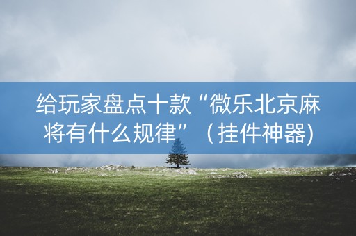 给玩家盘点十款“微乐北京麻将有什么规律”（挂件神器)