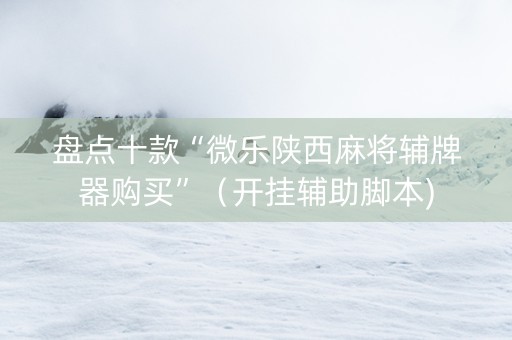 盘点十款“微乐陕西麻将辅牌器购买”（开挂辅助脚本)