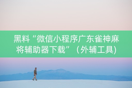 黑料“微信小程序广东雀神麻将辅助器下载”（外辅工具)