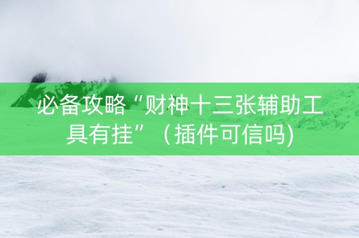 必备攻略“财神十三张辅助工具有挂”（插件可信吗)
