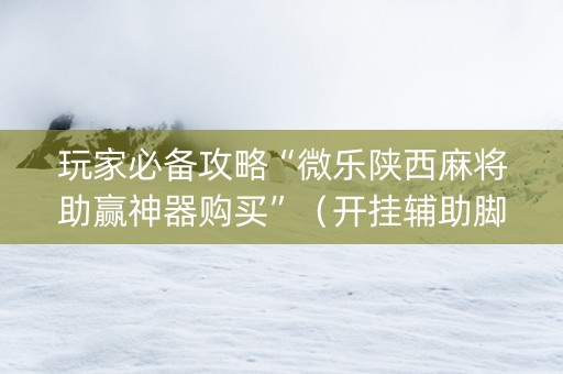 玩家必备攻略“微乐陕西麻将助赢神器购买”（开挂辅助脚本)
