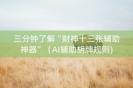 三分钟了解“财神十三张辅助神器”（AI辅助胡牌规则)