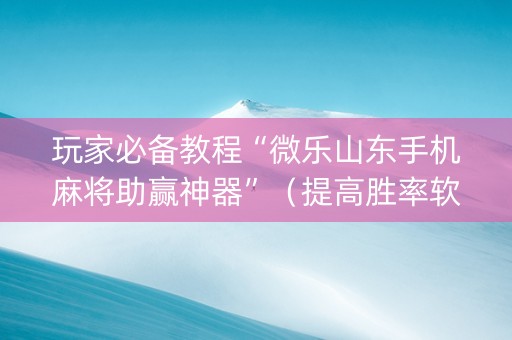 玩家必备教程“微乐山东手机麻将助赢神器”（提高胜率软件)