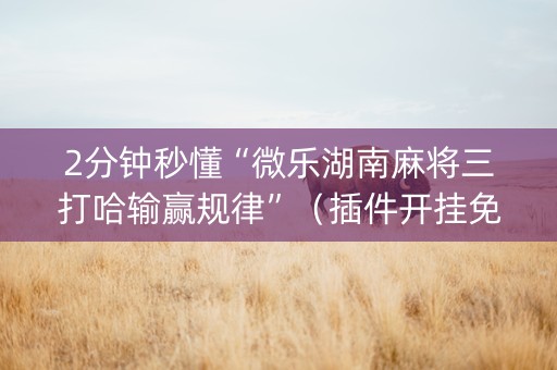 2分钟秒懂“微乐湖南麻将三打哈输赢规律”（插件开挂免费AI)