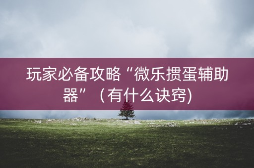 玩家必备攻略“微乐掼蛋辅助器”（有什么诀窍)