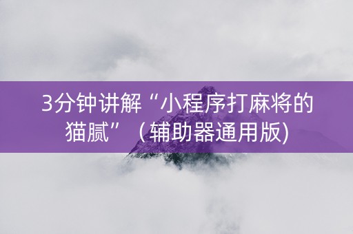 3分钟讲解“小程序打麻将的猫腻”（辅助器通用版)