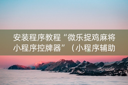 安装程序教程“微乐捉鸡麻将小程序控牌器”（小程序辅助软件)