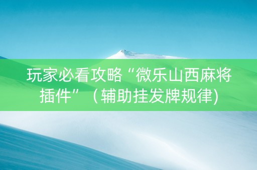 玩家必看攻略“微乐山西麻将插件”（辅助挂发牌规律)