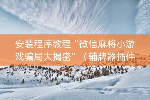 安装程序教程“微信麻将小游戏骗局大揭密”（辅牌器插件购买)