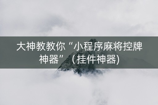 大神教教你“小程序麻将控牌神器”（挂件神器)